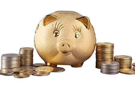 德指大亭直播间